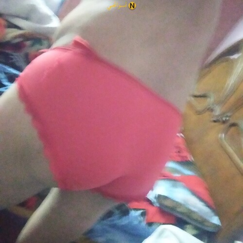 IMG ٢٠٢٥١٢٢٤ ٢٣٣٠٠٥