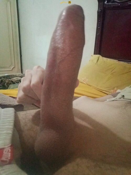 IMG 20251118 154233 456